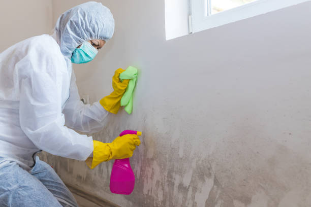 Forensic Mold Investigation in Garden Ridge, TX