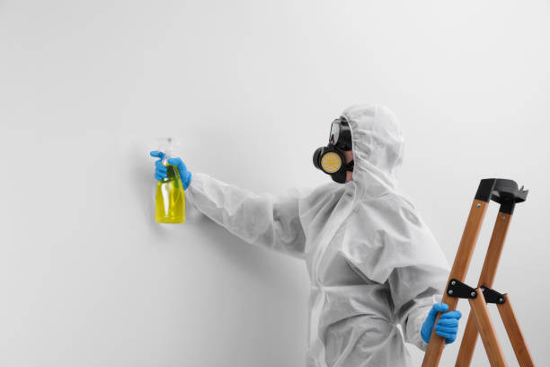 Biohazard Mold Removal in Garden Ridge, TX